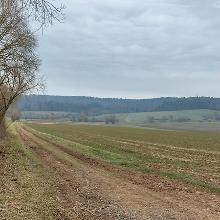 Mittendrin Hébergement de vacances